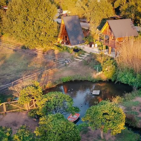 Casa Da Avo - Vale Da Silva Villas Albergaria-a-Velha Eksteriør billede