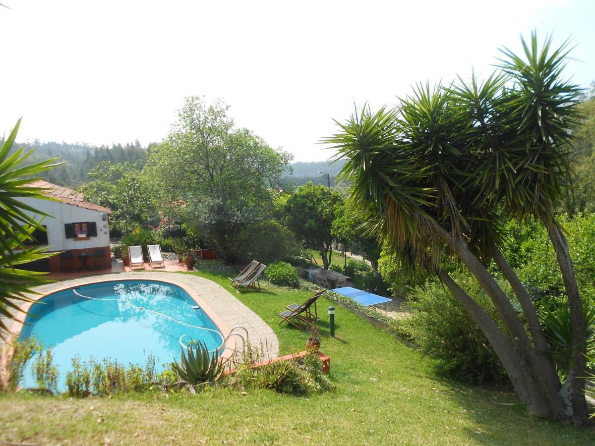 Casa Da Avo - Vale Da Silva Villas Albergaria-a-Velha Eksteriør billede