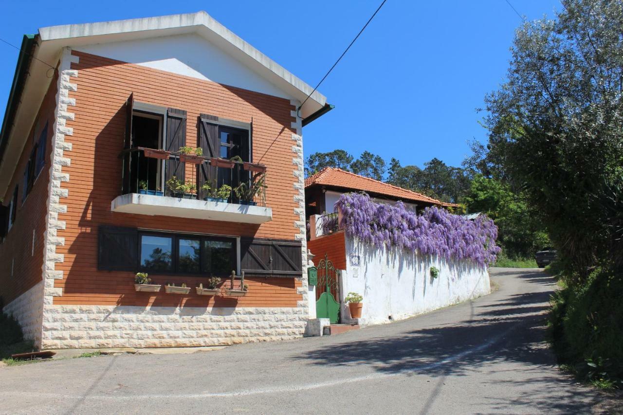 Casa Da Avo - Vale Da Silva Villas Albergaria-a-Velha Eksteriør billede