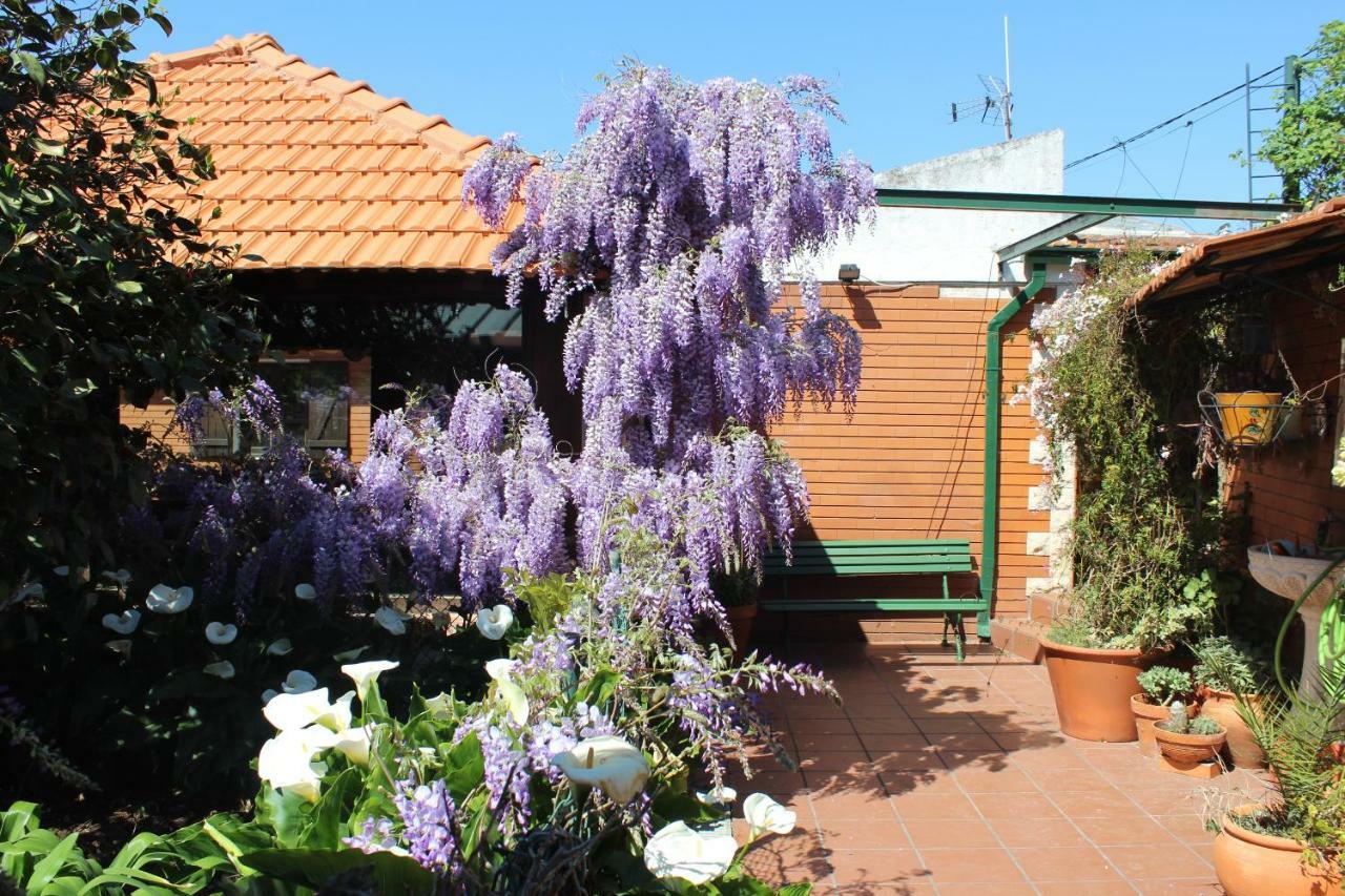 Casa Da Avo - Vale Da Silva Villas Albergaria-a-Velha Eksteriør billede